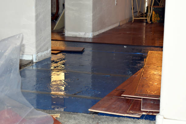 Professional Sewage Cleanup technician working in Dowling, MI